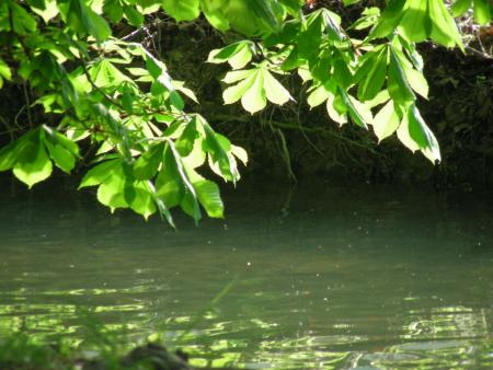 Reflets dans le canal