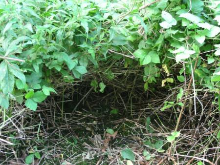 ABRI POUR .............